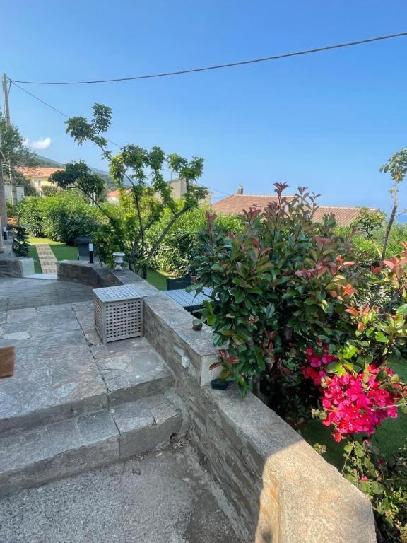 Appartamento Le Cap San-Martino-di-Lota Esterno foto